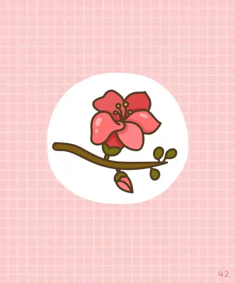 木棉花为什么叫"英雄花"?