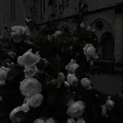 黑色系热门背景图_唯美图片_我要个性网