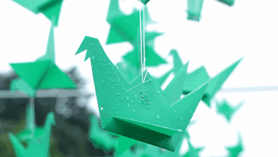 在他的办公室门口, 贴满了多位患者和医护人员 为他折叠的祈福千纸鹤