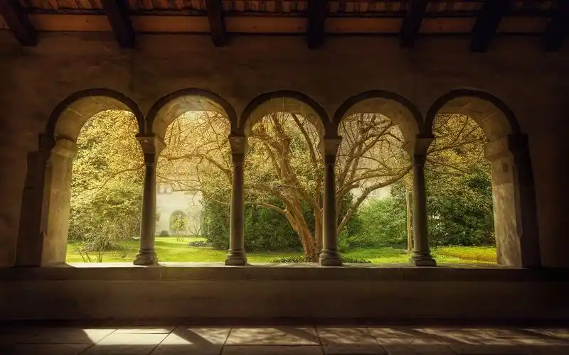 壁纸 拱窗,树木,花园 1920x1200 hd 高清壁纸, 图片, 照片