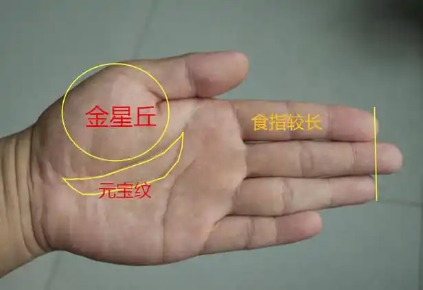 在中指和无名指下方,心线上方,有一个半圆形的图案,称为金星环.