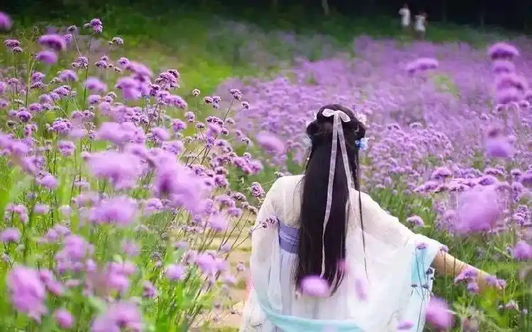 大重庆这些地方的紫色花海让人心醉,分分钟假装在普罗旺斯发朋友圈