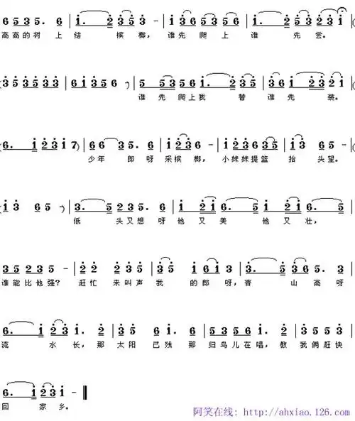 采槟榔简谱采槟榔简谱