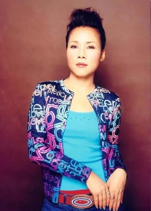 田震的丈夫张卫宁:陪妻子抗病的泪与痛,没有孩子的婚姻幸福吗?