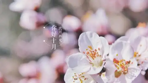 告别九月迎接十月带字文案