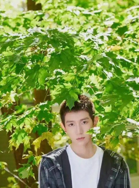 王源清爽小平头户外写真,文质彬彬尽显暖男气质_手机搜狐网