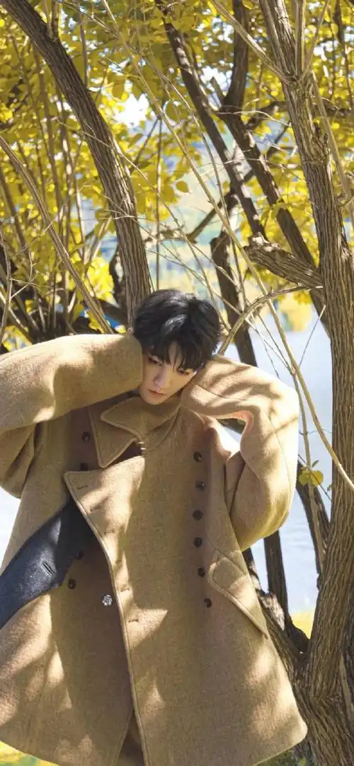 王俊凯壁纸无水印##美妆口碑榜