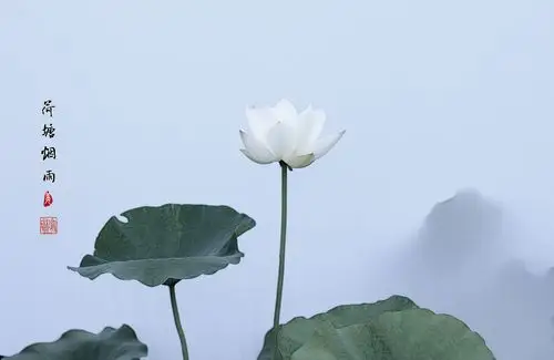 【朗静山意境摄影俱乐部作品集锦】第七期