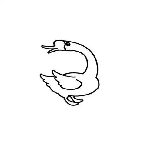 头对头的大白鹅简笔画