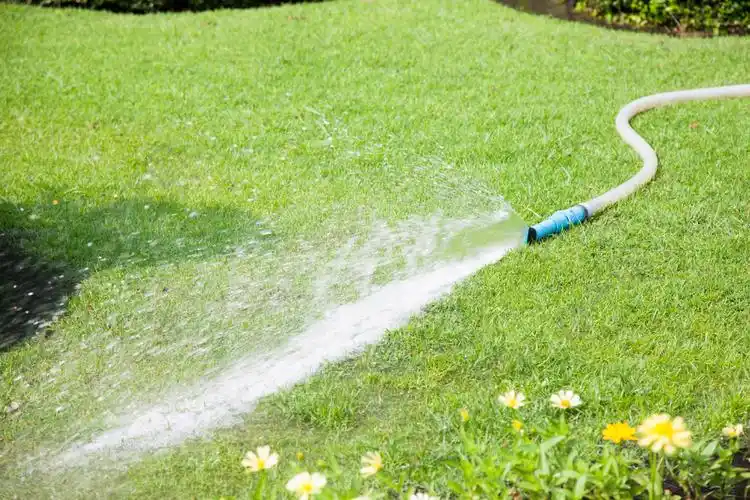 水喷洒在草坪上开放的水留在草坪和树木上