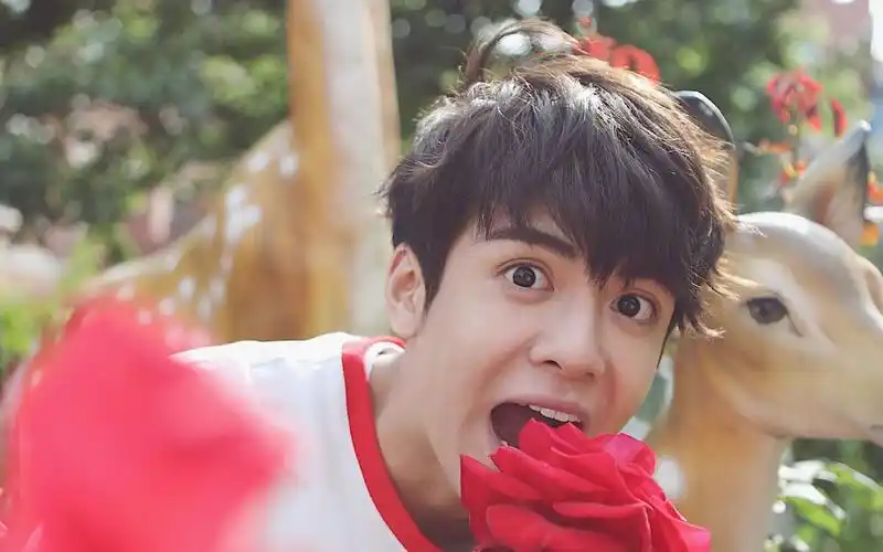 【曾舜晞】时分的可爱瞬间/踩点甜向混剪【快把我哥带走】