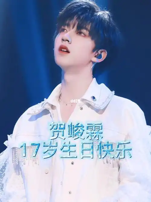 贺峻霖17岁生日快乐