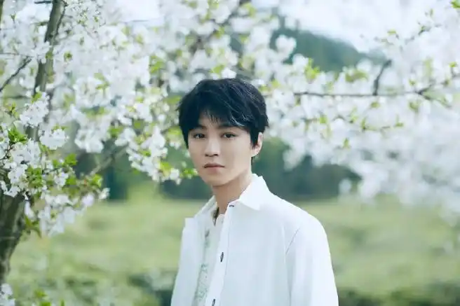 王俊凯近期状态