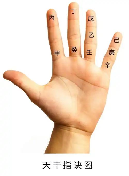 一掌金诀玄秘要 通神达灵主造化(下)