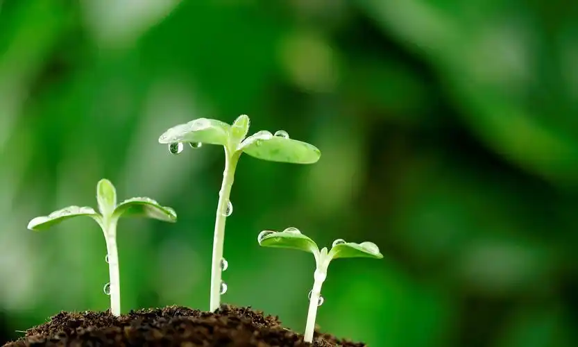 英语励志美文精华29重新振作的艺术mp3