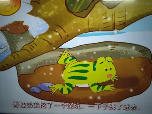 冬眠:小青蛙睡在泥土中,青蛙都躲到了土里,整个冬天都不吃不喝,好像