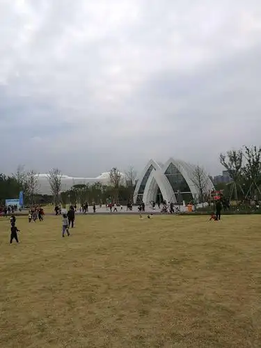 夜跑也清晰的荧光跑道……正值秋游好时节,白马湖公园二期今天开园了