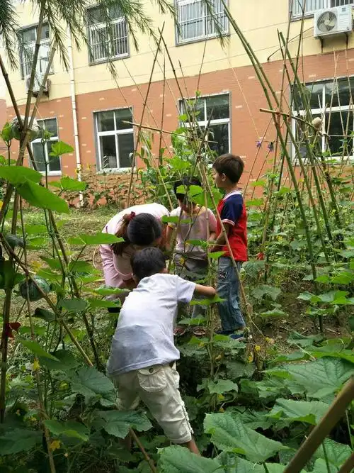 种瓜黄台下,瓜熟子离离.