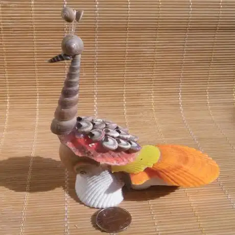 贝壳海螺批发贝壳工艺品 贝壳彩孔雀 创意同学小孩礼物 家居摆件