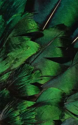 不要问祖母绿为什么那么贵,看看这些你就知道了!