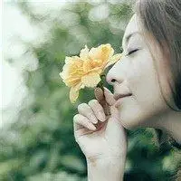 花海女生背影微信头像_微信头像图片大全