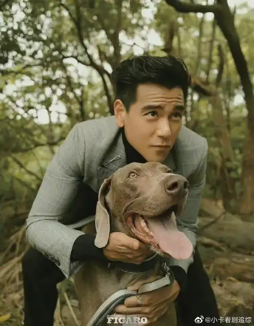 在煎带鱼##胡歌孩子怀上时彭于晏在煎带鱼