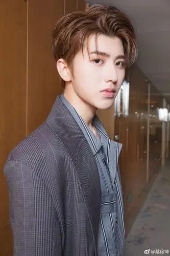 蔡徐坤深夜放帅气硬照身穿灰调西装绅士风亮相2018cosmo盛典