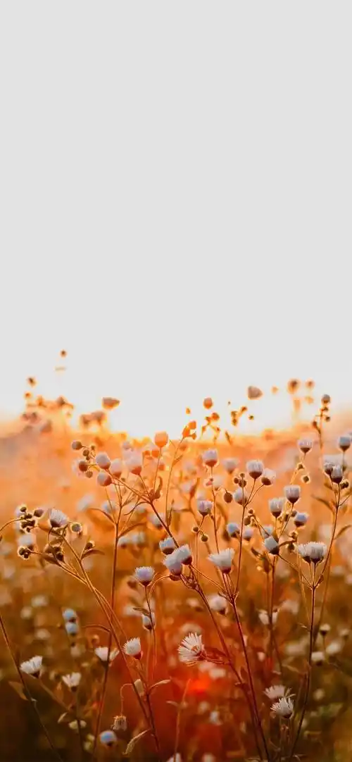 壁纸高级感的全面屏手机壁纸