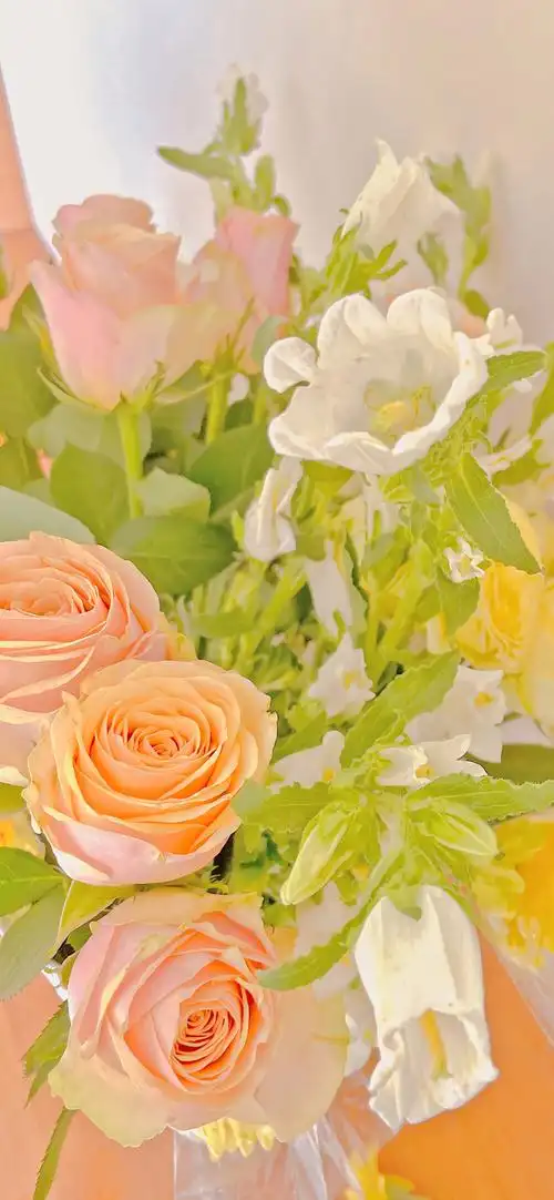 高清壁纸 花朵壁纸