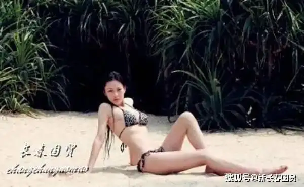 张馨予豹纹比基尼旧照曝光 泳池戏水大秀好身材