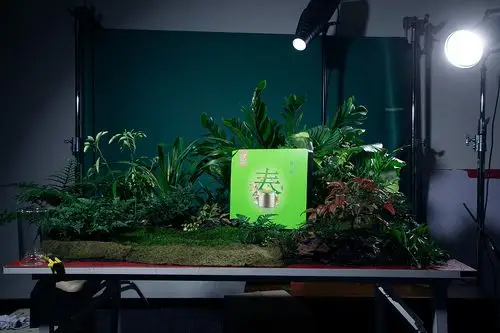 专业静物产品造型师,针对产品进行现场造型和设计拍摄