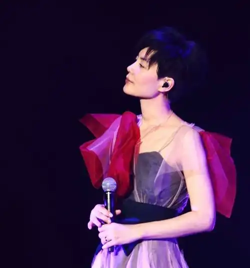 你看到过王菲最美的一张图片是哪一张?