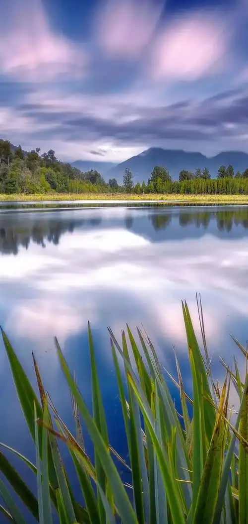 alpina xd3论坛_手机汽车之家