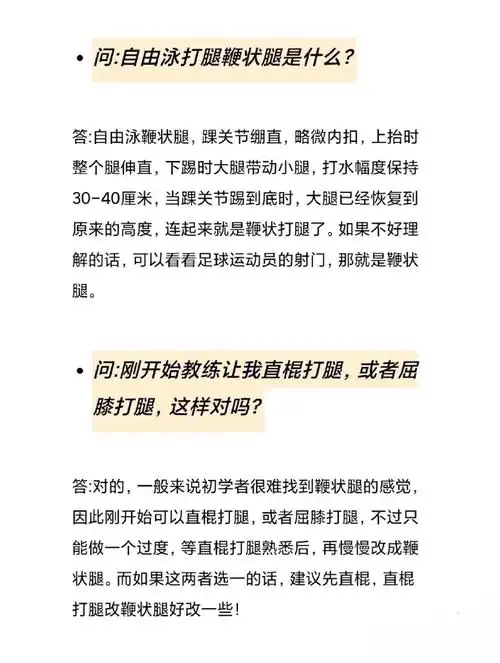 什么是自由泳鞭状打腿?