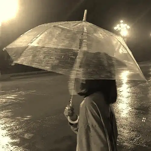 撑伞不如淋雨的句子(撑伞在雨中的句子)_齐天文学网