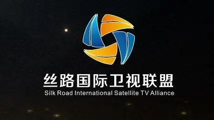 关注丝路国际卫视联盟明日联合呈现这里是宁夏宁夏60大庆网络直播