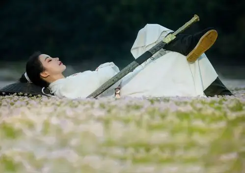 一人一剑一壶酒,一萧一伞一江湖