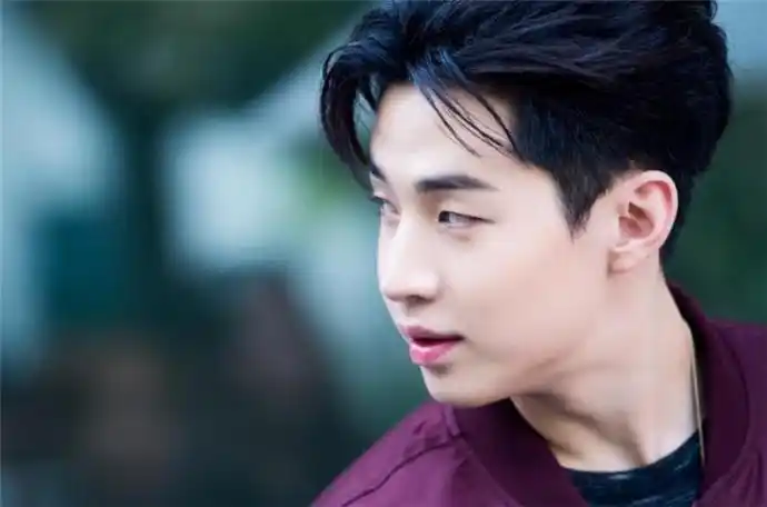 刘宪华什么背景 刘宪华是几国混血儿