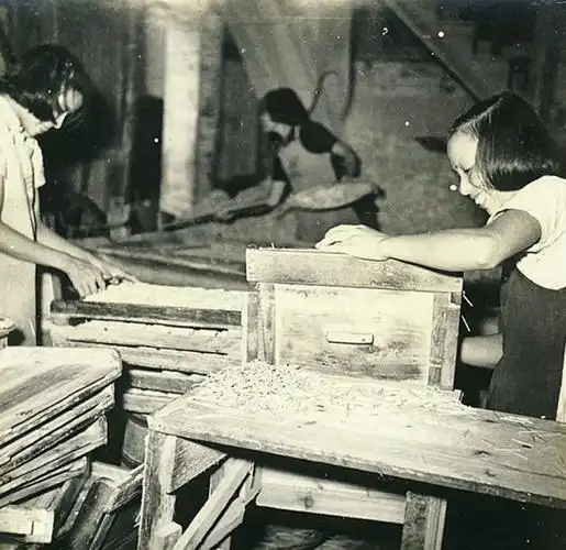 老照片流出满屏回忆几十年前肇庆人是这样过五一的