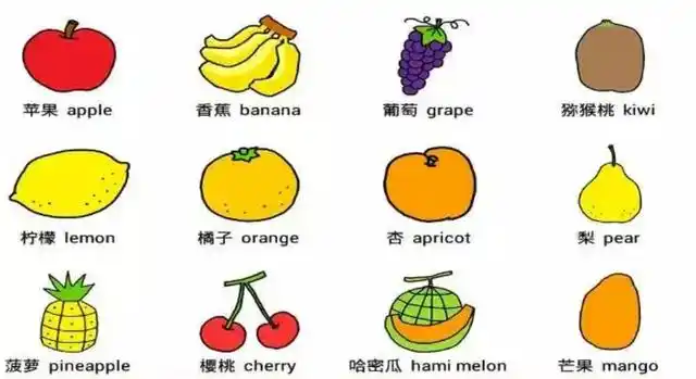 关于水果的英语单词