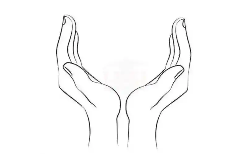 手绘教初学者如何画双手