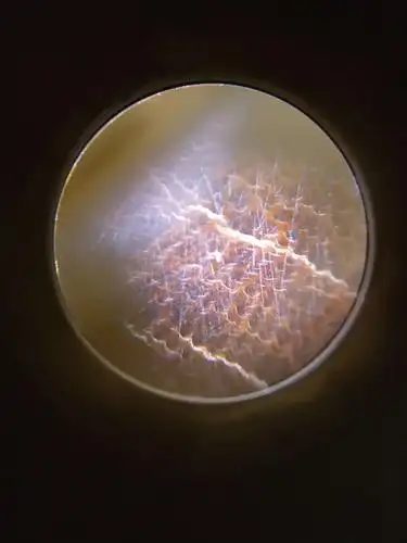 古玩收藏领域的两大空白地带——明清亚洲犀牛角工艺品和海南黑油格