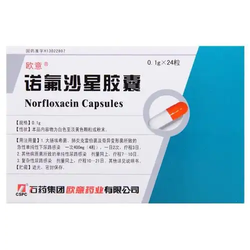 石药诺氟沙星胶囊01g24粒泌尿系统感染尿道尿路感染伤寒炎氟哌酸氟诺