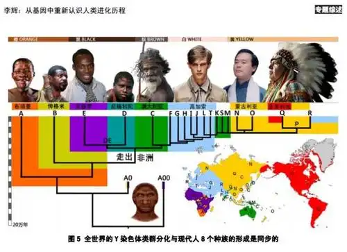 以前教科书上把人种分为黑黄白三种,不是应该还有棕色人种吗?