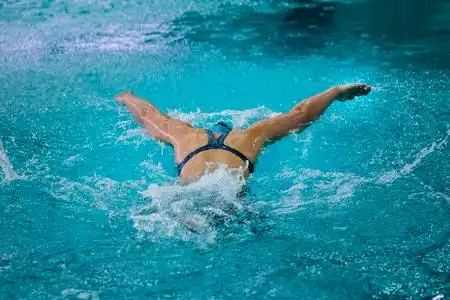 女运动员游泳蝶泳照片