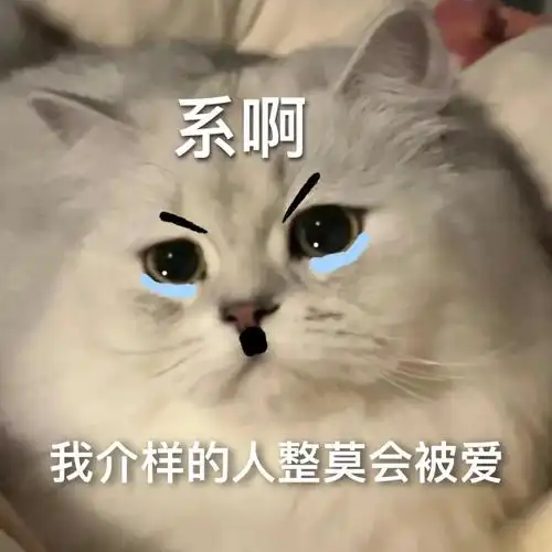 那就这样吧再爱就不礼貌了表情包图片动图图片1