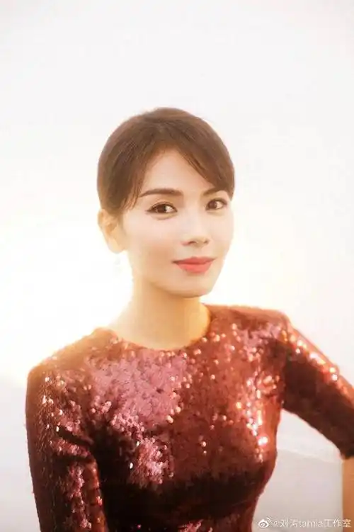 刘涛高清图片第2489期