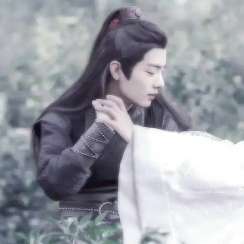 肖战王一博情头