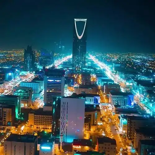 沙特阿拉伯签证旅游电子一年多次加急普通签证