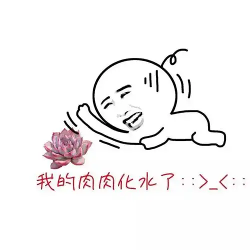 多肉表情包,卖萌带发骚!